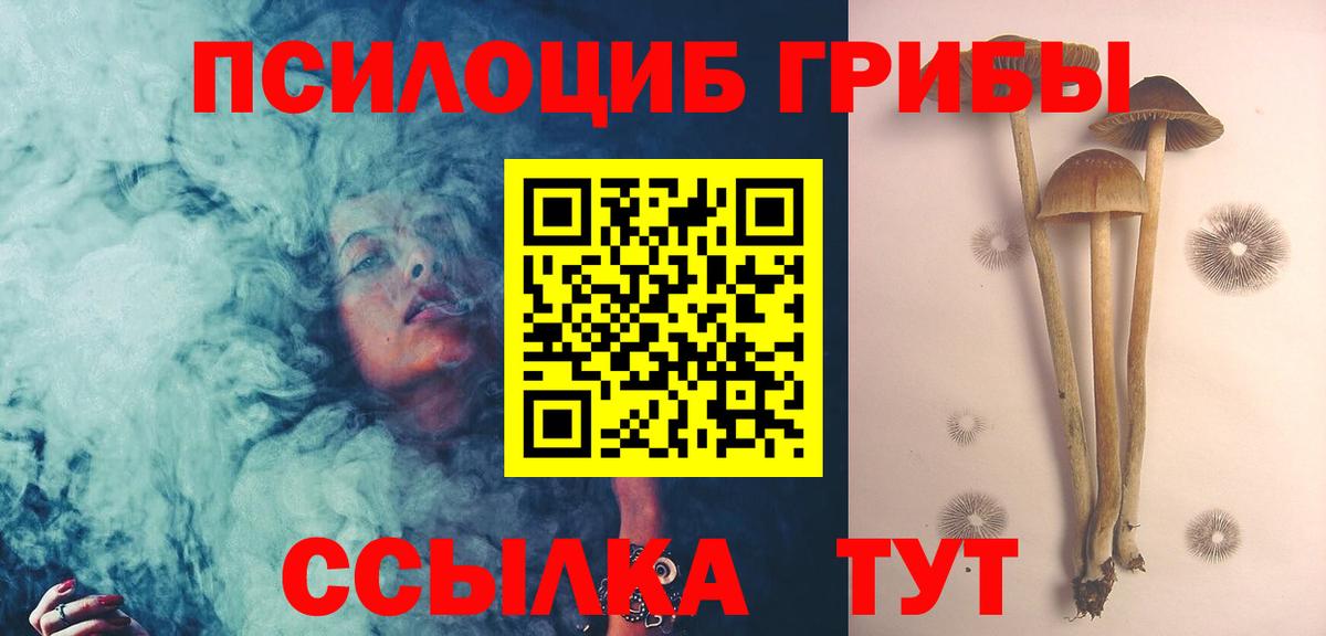 Людиново  Галлюциногенные грибы Psilocybe  Вход с VPN  Галлюциногенные грибы GOLDEN TEACHER 